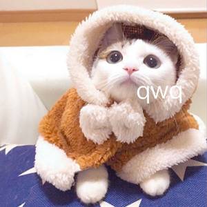 黑人又粗又大XXXXOO
